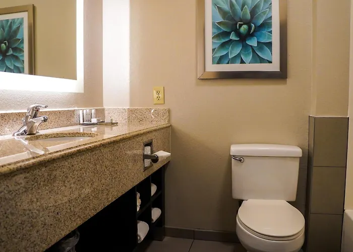 Hotel La Quinta By Wyndham I-10 West 3*